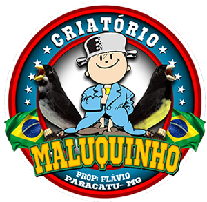 Criatório Maluquinho - Coleiro e Coleiro Baiano - MG